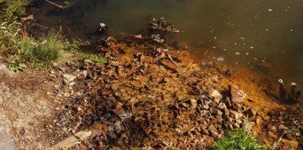 Atıksu Deşarjına Bağlı Olarak Göl Kirlilikleri